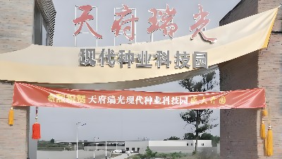 四川天府瑞光（種都高科）農(nóng)業(yè)科技園弱電工程項(xiàng)目